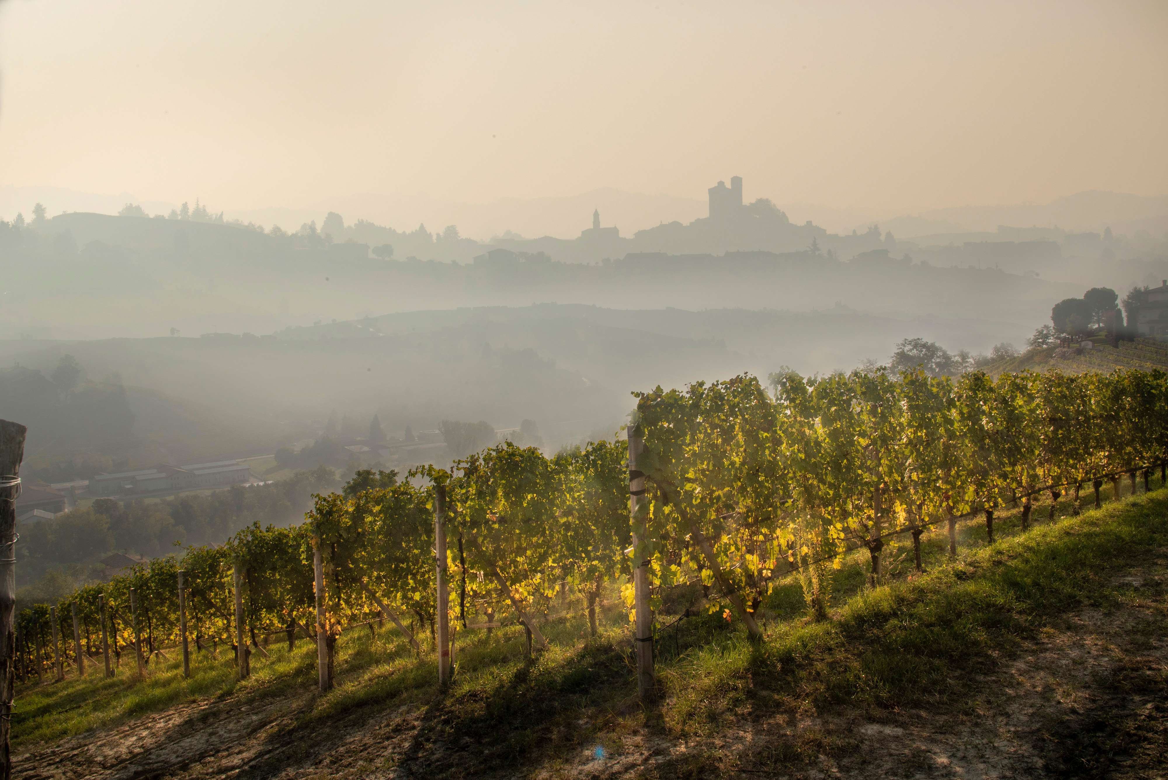 https___www.massolino.it_wp-content_uploads_Massolino-foto-azienda-HD-14.jpg